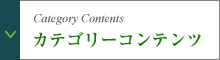 カテゴリーコンテンツ