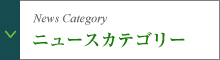 ニュースカテゴリー
